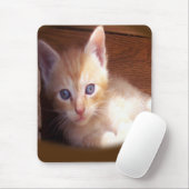 Katten Muismat (Met muis)