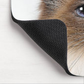 KATTEN MUISMAT (Hoek)