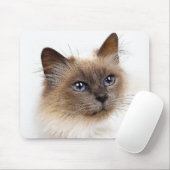KATTEN MUISMAT (Met muis)