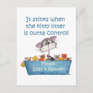 Katten nestjes stinken briefkaart