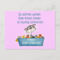 Katten nestjes stinken