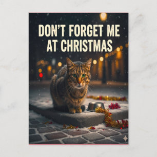 Katten niet vergeten met Kerst foto kunst Briefkaart