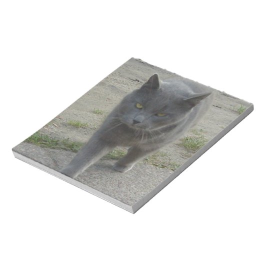 Katten Notitieblok (Linkerzijde)