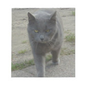 Katten Notitieblok (Voorkant)