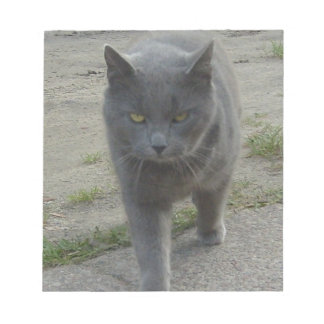 Katten Notitieblok