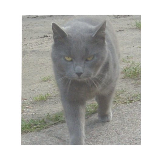 Katten Notitieblok (Voorkant)