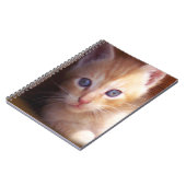 Katten Notitieboek (Linkerzijde)