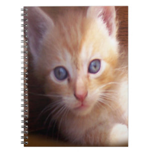 Katten Notitieboek