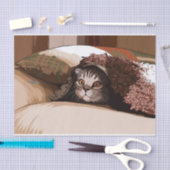 katten onder dekens tissuepapier (Craft)