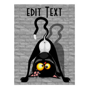 Katten Ondersteboven Grappige Cartoon Karakter Perfect Poster