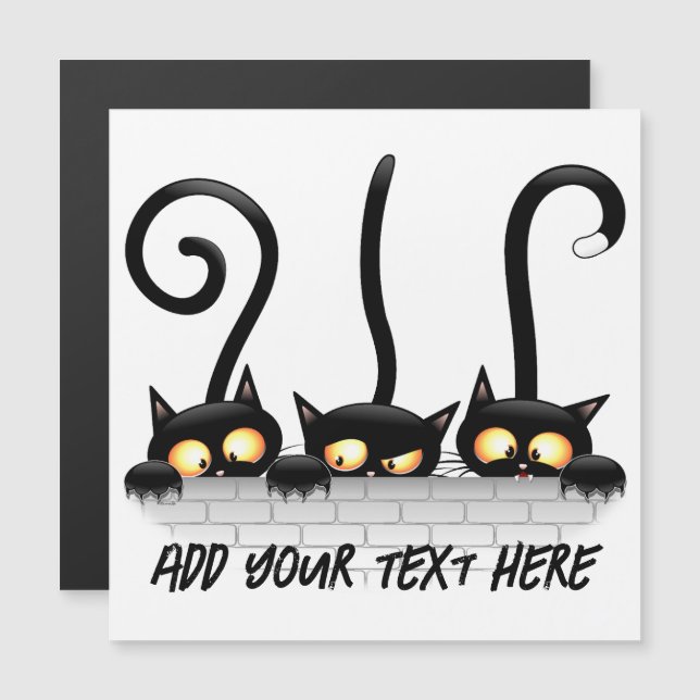 Katten Ondeugende, Speelse en Grappige Karakters (Voorkant / Achterkant)