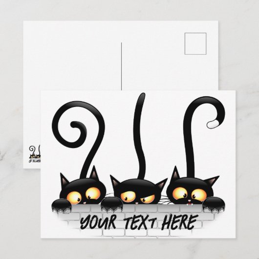 Katten Ondeugende, Speelse en Grappige Karakters Briefkaart (Voorkant / Achterkant)