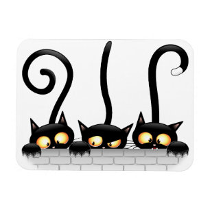 Katten Ondeugende, Speelse en Grappige Karakters Magneet