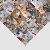 Katten ontmoetingspunt - schattig tissuepapier (Detail)