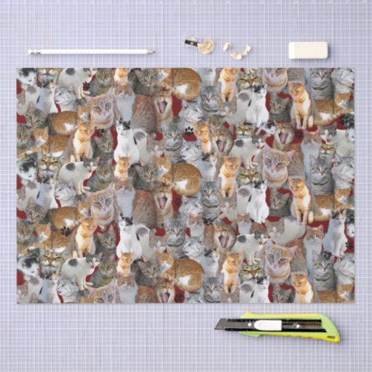 Katten ontmoetingspunt - schattig tissuepapier (Craft)