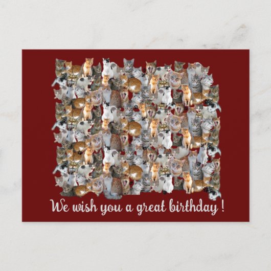 Katten ontmoetingspunt - schattige verjaardag briefkaart (Voorkant)