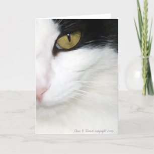 Katten Oog Kaart