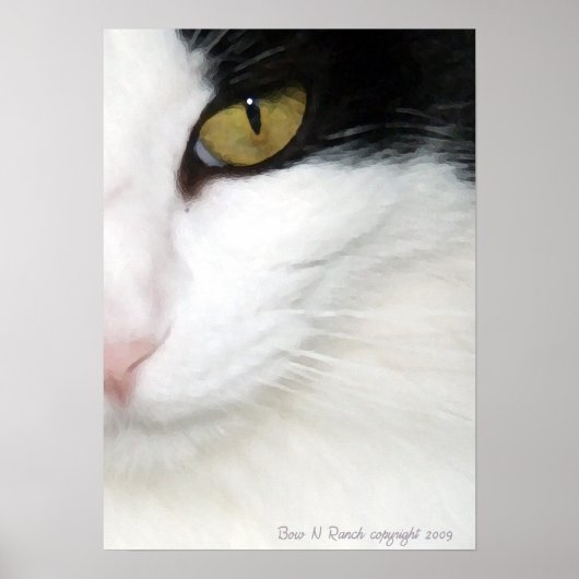 Katten Oog Poster (Voorkant)