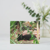 Katten op Brick Patio Foto Briefkaart (Staand voorkant)