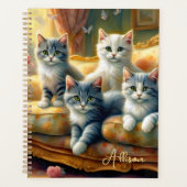 Katten op de bank - leuke scène in look planner (Voorkant)