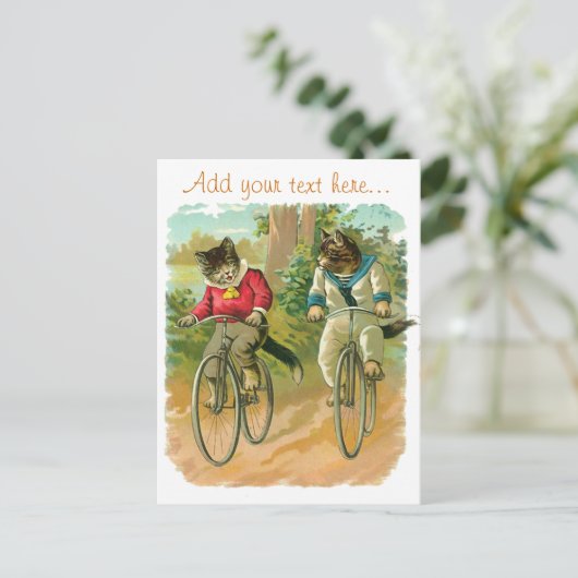  katten op de fiets briefkaart (Staand voorkant)