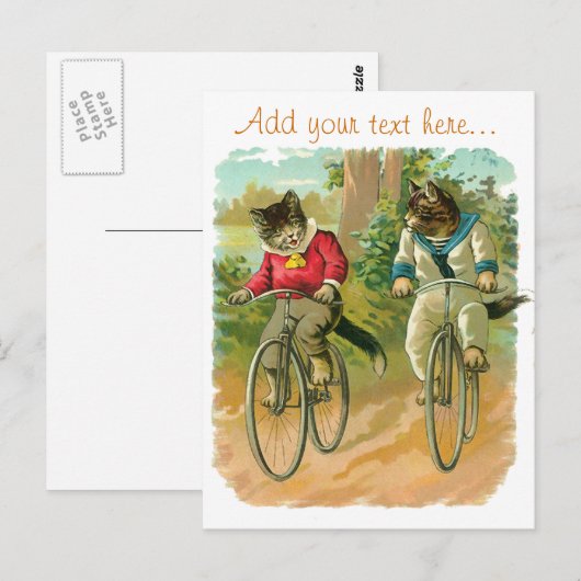  katten op de fiets briefkaart (Voorkant / Achterkant)
