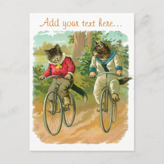 katten op de fiets briefkaart