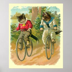  katten op de fiets poster