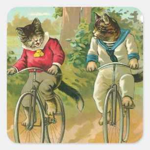katten op de fiets vierkante sticker