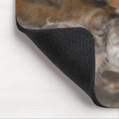 Katten op een mousepad muismat (Hoek)