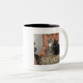 Katten op een stoel mok (Voorkant rechts)