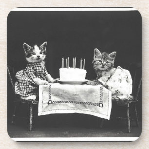 katten op een verjaardagsfeestje bier onderzetter