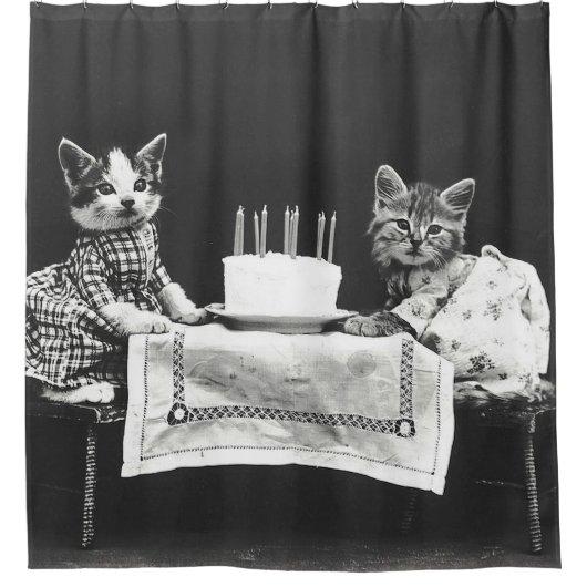  katten op een verjaardagsfeestje douchegordijn (Voorkant)