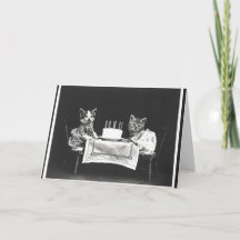 katten op een verjaardagsfeestje