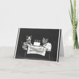  katten op een verjaardagsfeestje kaart