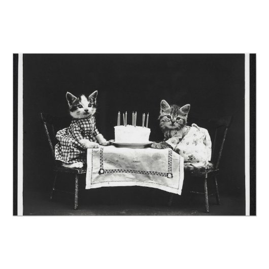 katten op een verjaardagsfeestje perfect poster (Voorkant)