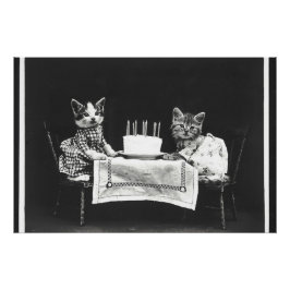 katten op een verjaardagsfeestje perfect poster