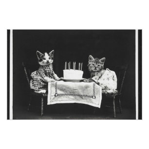  katten op een verjaardagsfeestje perfect poster