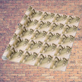 Katten op fietsen cadeaupapier