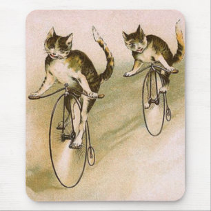  katten op fietsen muismat