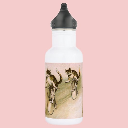 Katten op fietsen waterfles