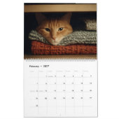 Katten op gezellige plaatsen 2026 kalender (Feb 2027)
