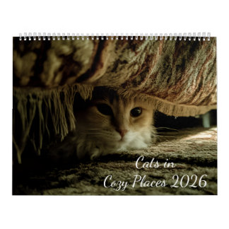 Katten op gezellige plaatsen 2026 kalender