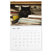 Katten op gezellige plaatsen 2026 kalender (Mar 2027)