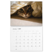 Katten op gezellige plaatsen 2026 kalender (Jan 2027)