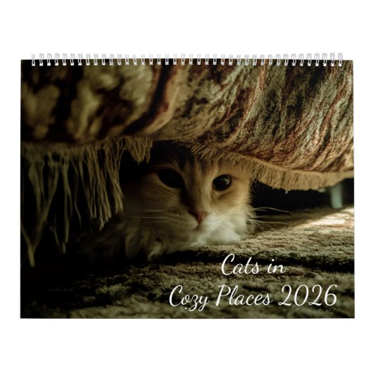 Katten op gezellige plaatsen 2026 kalender (Hoes)