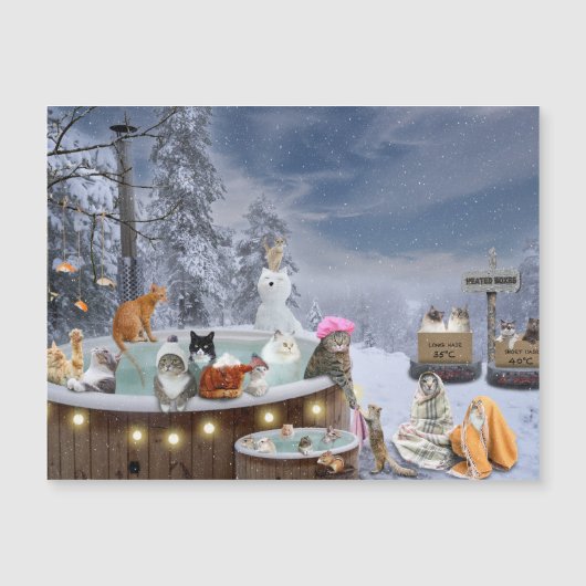 Katten op het hete Tub Winter Scene (Voorkant)
