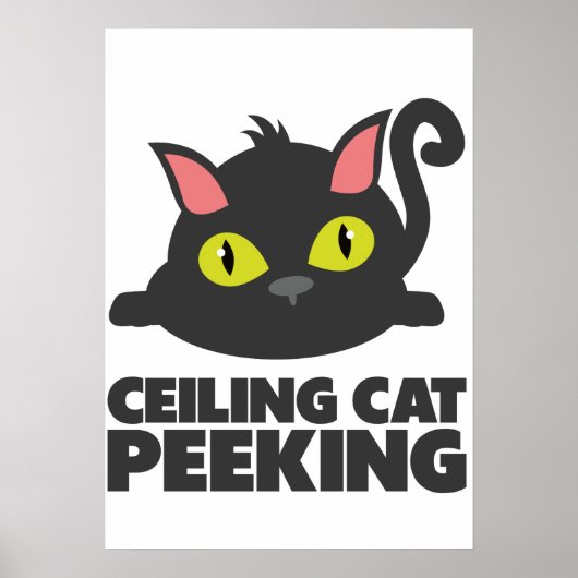 Katten op het plafond Grappige Internet Meme Kunst Poster (Voorkant)