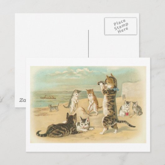 "Katten op het strand"  Briefkaart (Voorkant / Achterkant)