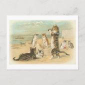 "Katten op het strand"  Briefkaart (Voorkant)